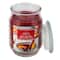 17oz. Christmas Scented Jar Candle by Ashland®